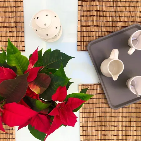 Varela B Apartman Málaga