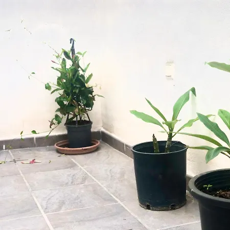 Apartamento Varela B